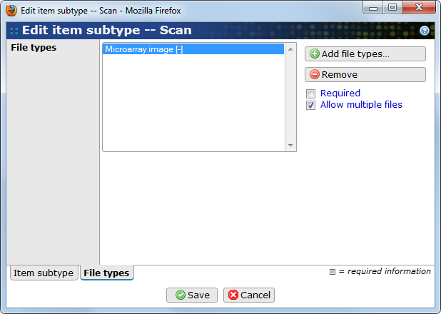 Item subtype file types